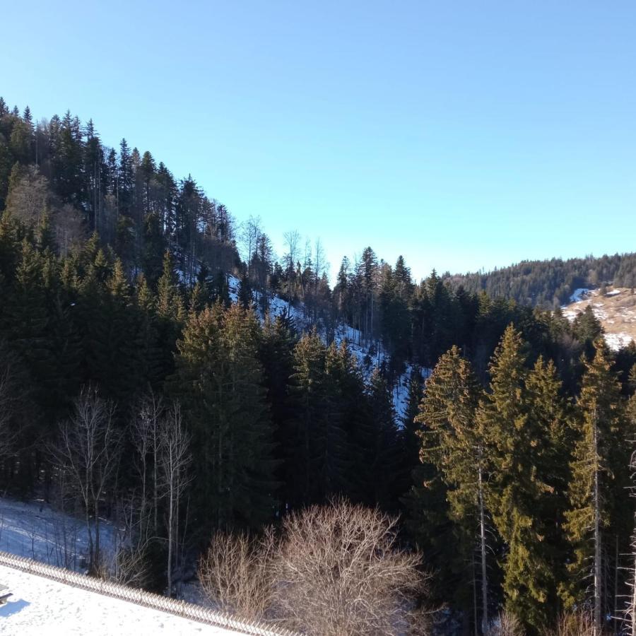 Appartement Dernier Etage Au Pied Des Pistes Hirmentaz 벨르보 외부 사진