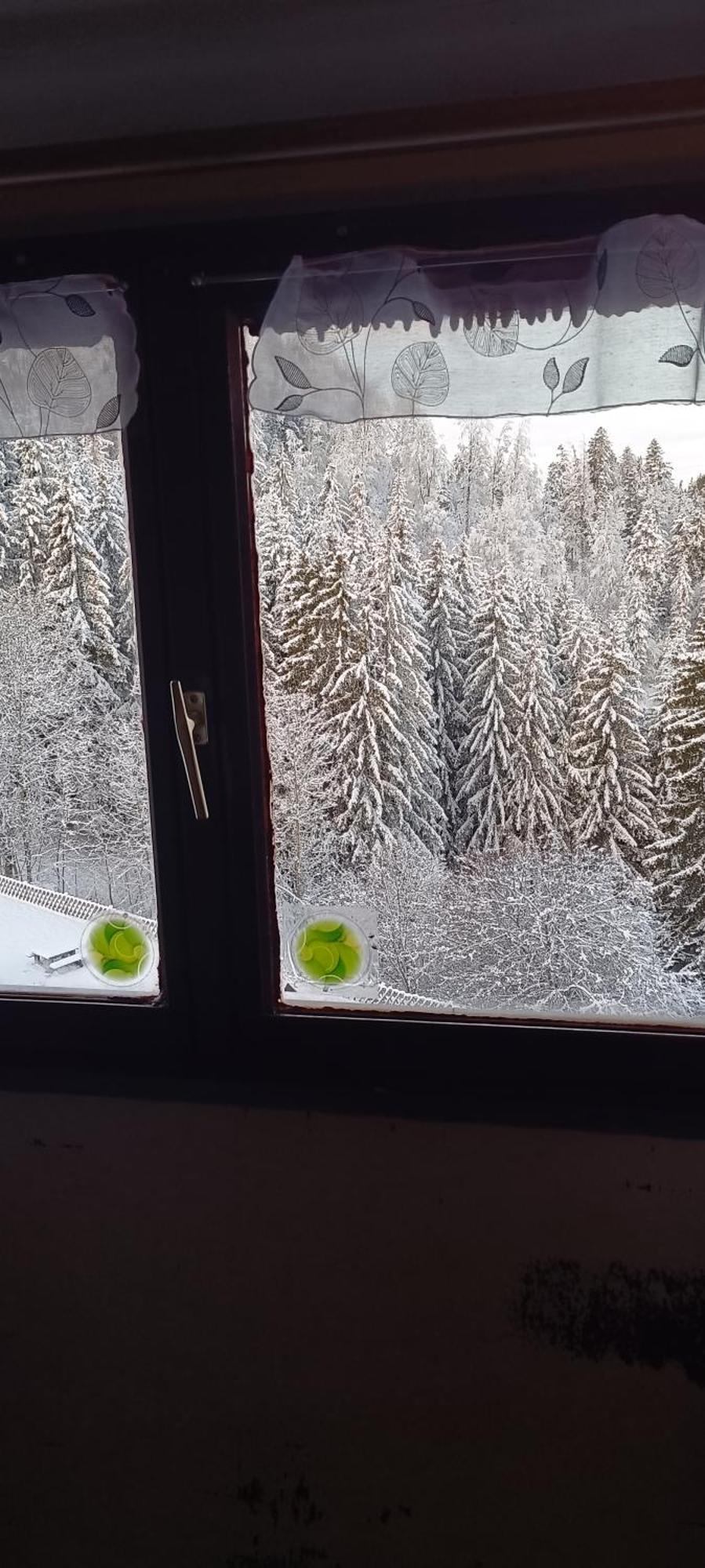 Appartement Dernier Etage Au Pied Des Pistes Hirmentaz 벨르보 외부 사진
